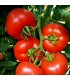Seminte tomate semideterminate SANDOLINE F1maturitate semitimpurie